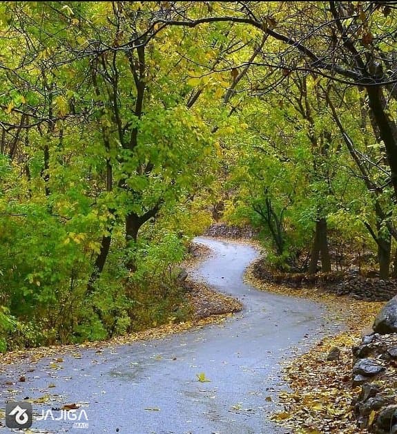 سفر_به _شیراز در پاییز