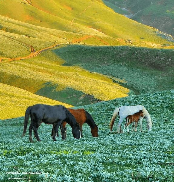 جواهردشت تعطیلات خرداد کجا بریم؟