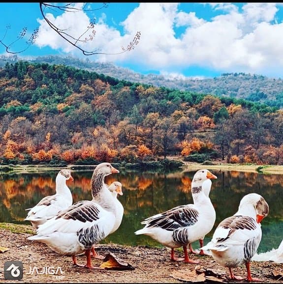 دریاچه توشن
