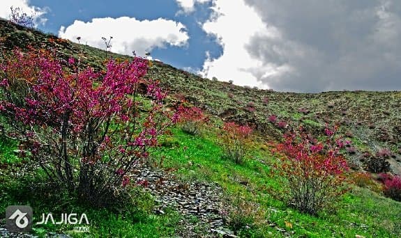 طبیعت زیبای مشهد