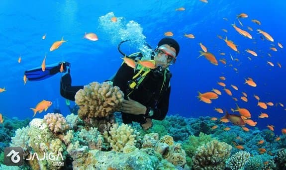 سفر به کیش