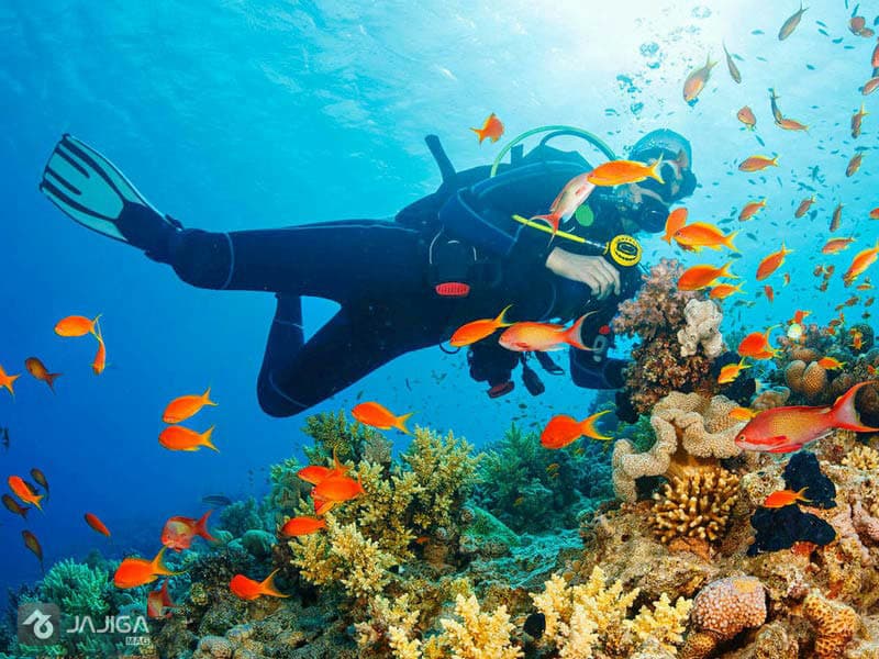 راهنمای سفر به قشم