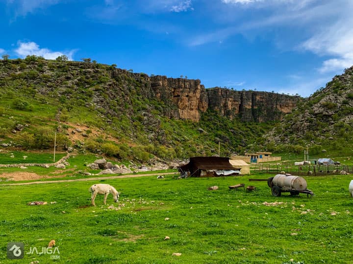 عید نوروز کجا بریم؟