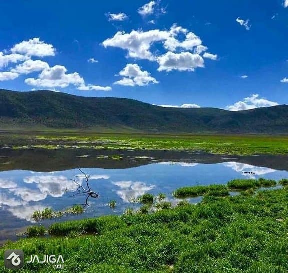 سفر به شیراز دشت ارژن شیراز