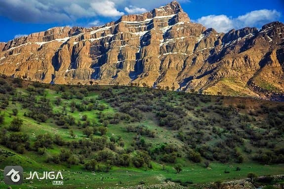 جنگل بناب ارسنجان