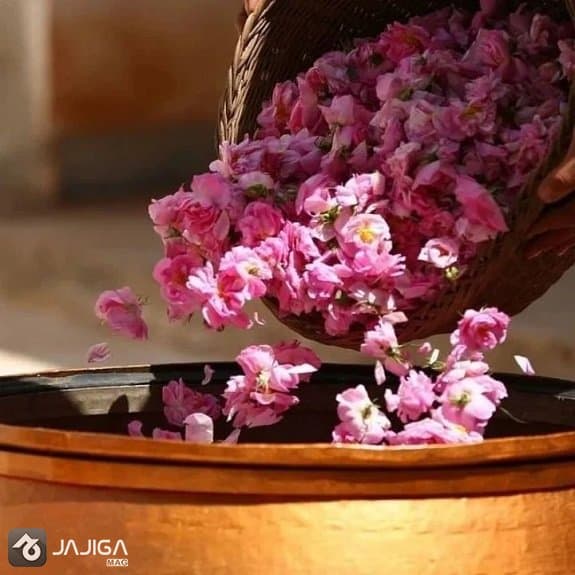 سفر به کگاشان در اردیبهشت