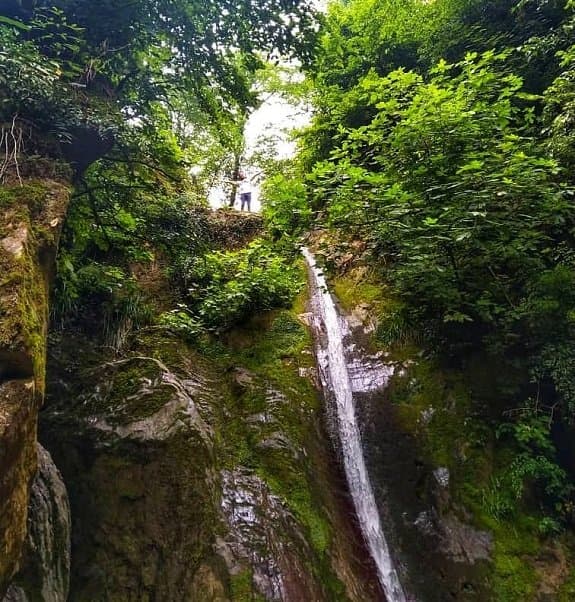 سفر به شمال در تابستان