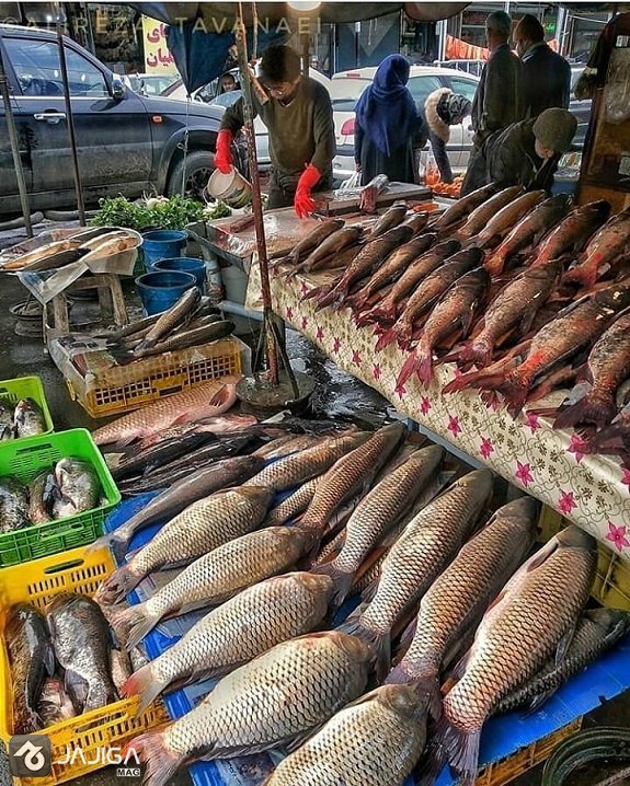 بازار-ماهی-انزلی