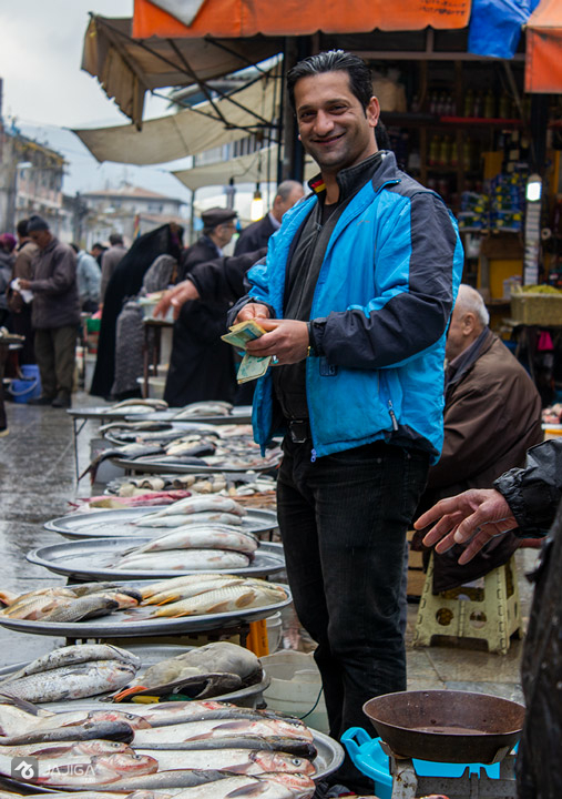 langaroud ماهی سفید از کجا بخریم؟ بازار ماهی سفید عید 1403