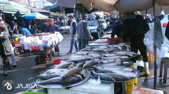 anzali fish bazar سفر به انزلی، مسیری برای خرید و طبیعتگردی