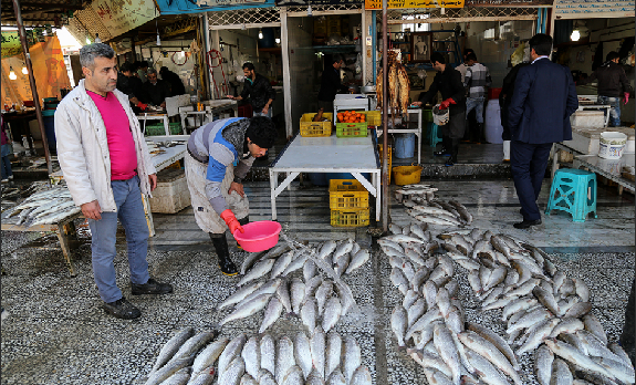 بازار-ماهی-محموداباد