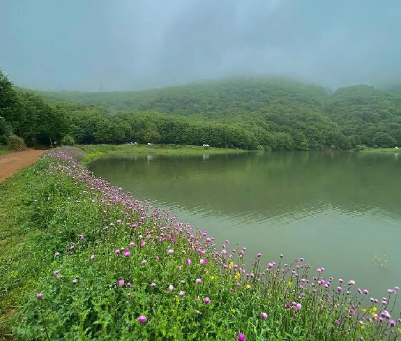 دریاچه-ویستان