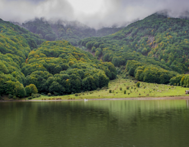 gilan lake دریاچه‌ های زیبای گیلان _منظره های کارت پستالی شمال