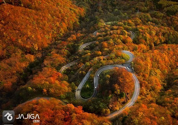 توسکستان-جاده-پاییز