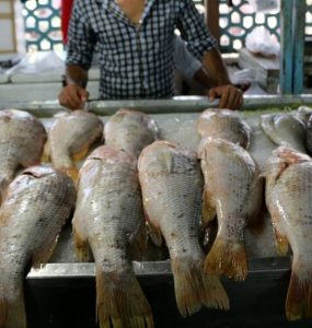 ramsar fish bazar بازار ماهی فروشان رامسر کجاست؟