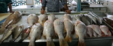 ramsar fish bazar بازار ماهی فروشان رامسر کجاست؟