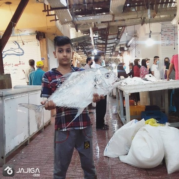 بازار-ماهی-بوشهر