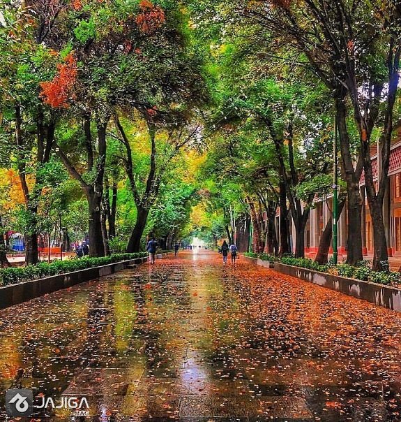 خیابان چهارباغ اصفهان