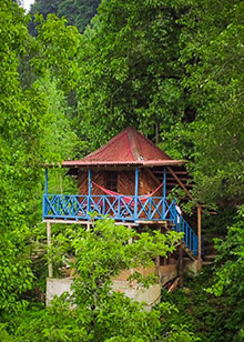 کلبه چوبی جنگلی